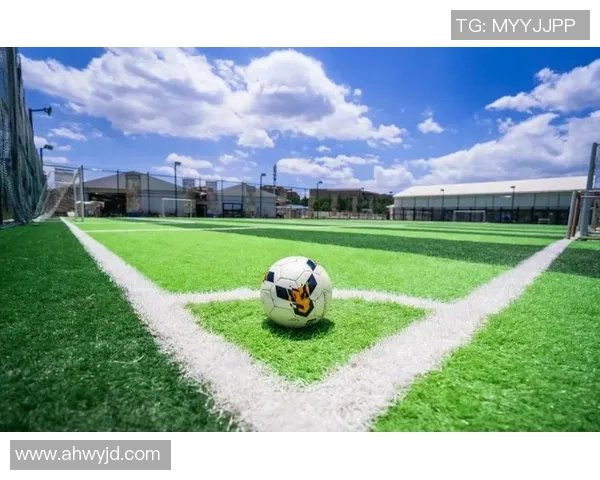 足球项韬的成长之路与未来展望探讨足球运动的魅力与挑战