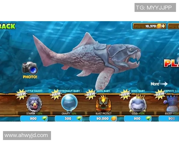 饥饿鲨进化足球幼鲨的奇幻冒险之旅与成长挑战