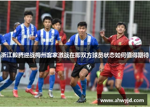 浙江毅腾迎战梅州客家激战在即双方球员状态如何值得期待